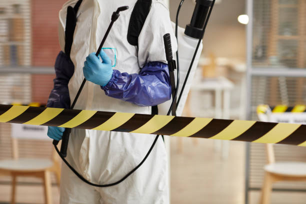Professional Hoarding Cleanup technician working in Remsenburg, NY